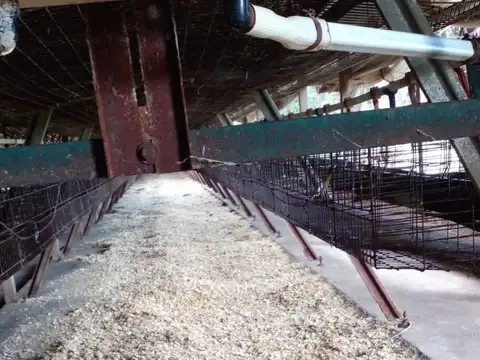 Fondo de Comercio en venta - Casa Quinta - Granja Avícola - 5 Ha - Mar del Plata