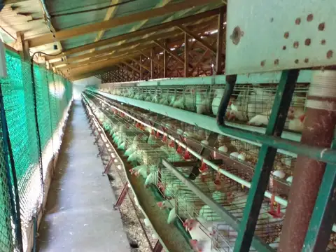 Fondo Comercio en Venta 50 años