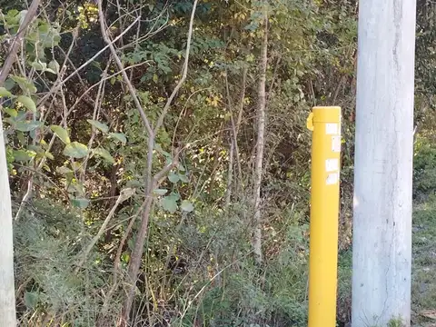 Terreno en Venta de 1289,0 m2