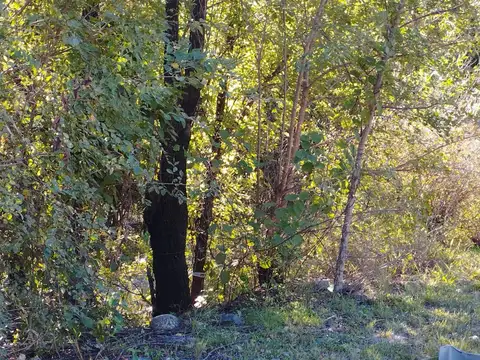Terreno en Venta de 1289,0 m2