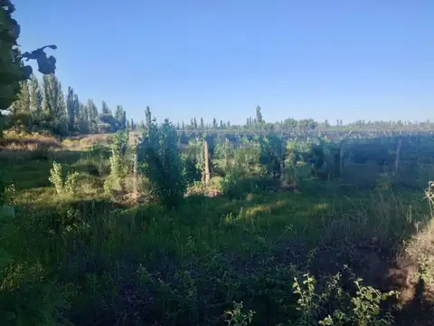 Venta de Finca en San Rafael