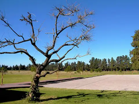 Terreno en Venta de 649,0 m2