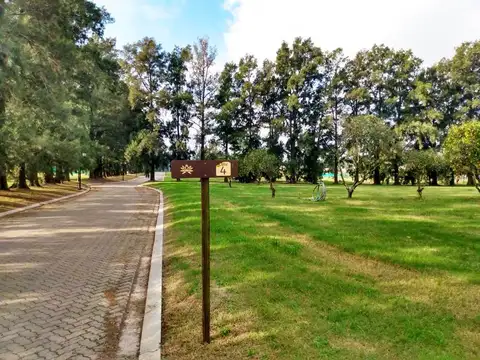 Terreno en Venta 20  mts Fondo