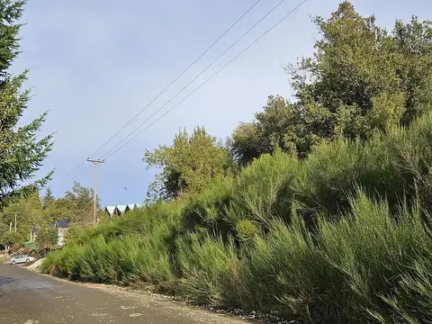 Terreno en Venta de 4196,0 m2