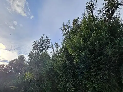 Las Balsas Osa Mayor