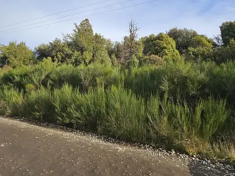 Terreno en Venta en Puerto, USD 550.000