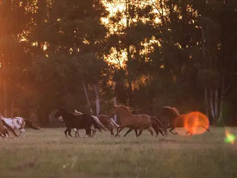 Terrenos en Barrio Quebradas