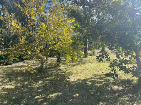 Terreno en Venta 24  mts Frente