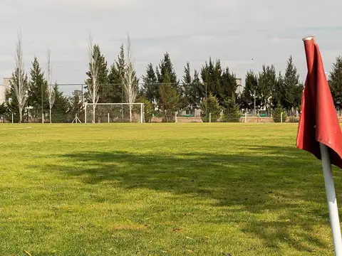 Terreno en Venta de 800,0 m2