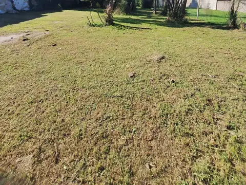 Terreno en Venta 20  mts Fondo