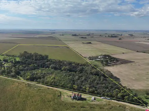 Campo en venta en Carmen de Areco