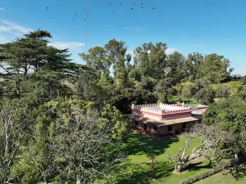 Campo en Venta de 50  ha