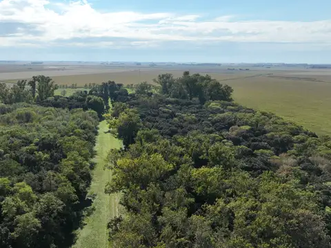 Campo con Casco en Carmen de Areco