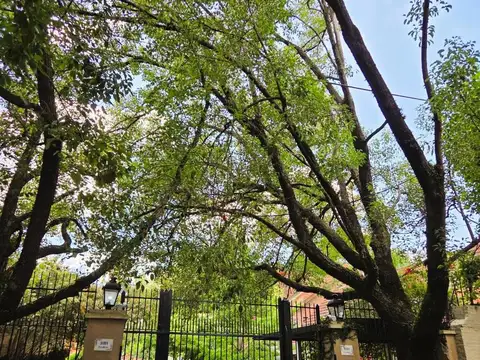Avellaneda  al 3300
