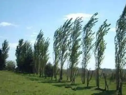 Oportunidad en Corredor Norte (Ruta 8, Km 67): 6 ha Apto Des