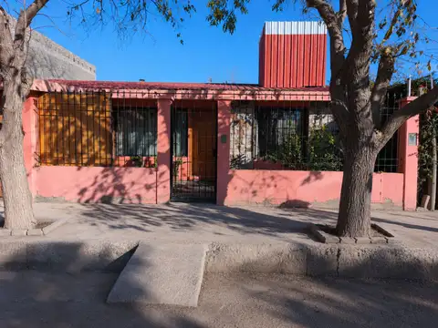 Panquehua 100