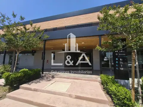 Oficina en Alquiler 5 años