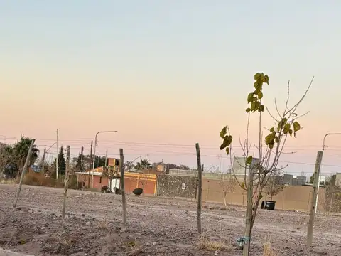Terreno en Venta de 200,0 m2