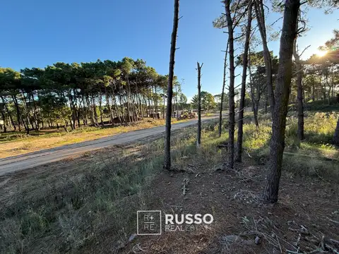 LOTE EN VENTA FINANCIACION - BOSQUES BARRIO TAMARISCO PINAMAR