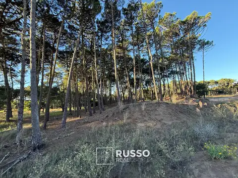 Terreno en Venta de 1072,0 m2