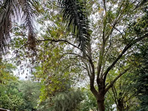 Casa Monoambiente con 1 baño