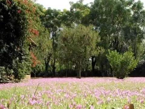 Terreno en Venta en Casuarinas Del Pilar, USD 75.000