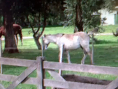 Terreno en Venta de 1614,0 m2