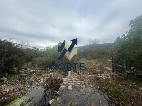 FINCA POTREROS DE LA CRUZ SALTA