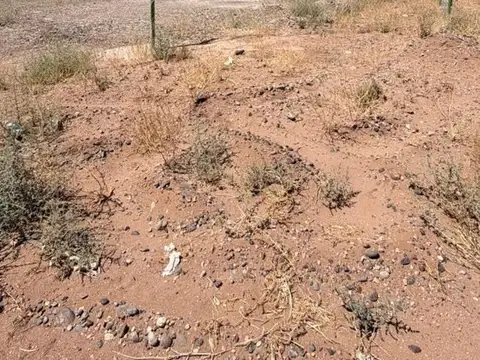 Galpón en Añelo