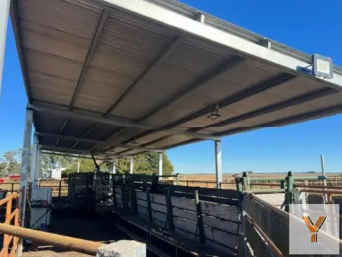 Campo en venta - 10.030.000Mts2 - Tres Arroyos