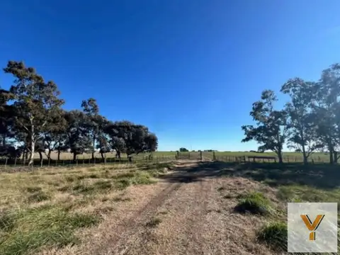 Campo en venta - 10.030.000Mts2 - Tres Arroyos