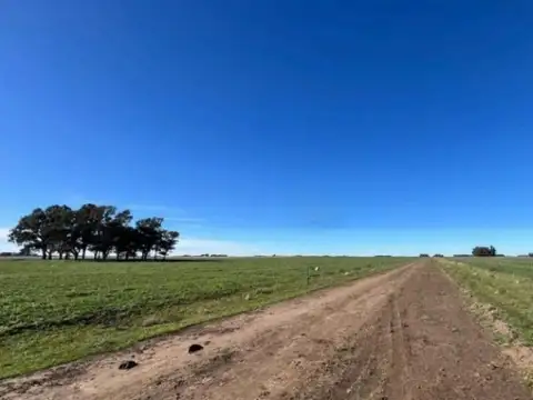 Ruta Nacional 3