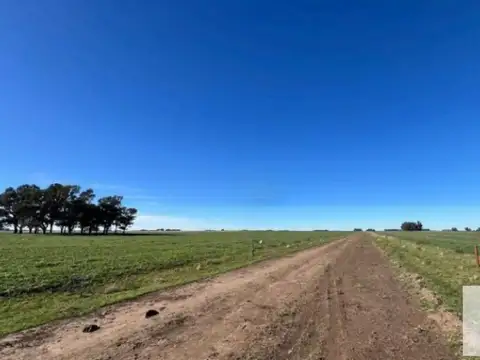 Ruta Nacional 3