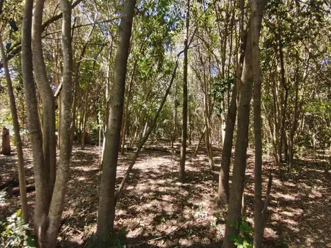 Terreno en Venta de 2625,0 m2