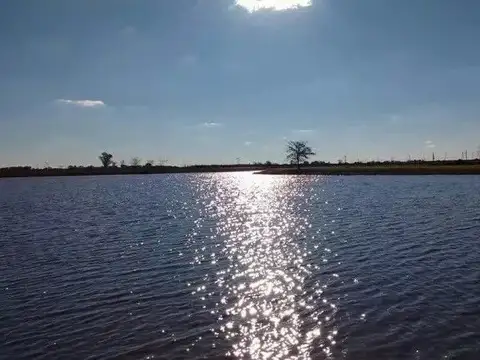 Terreno en Venta de 737,0 m2