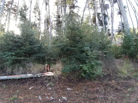 Faldeo del Bayo, Villa la Angostura