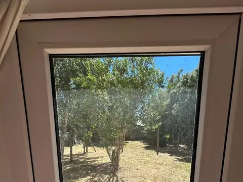 Caballo Alazan 13500