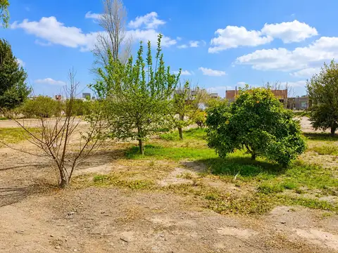 Terreno en Venta de 1409,0 m2