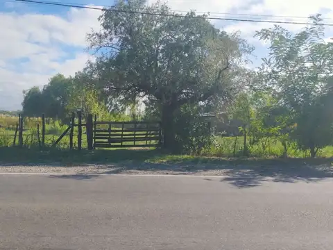 Lote en venta de 5 hectáreas en San Rafael Mendoza
