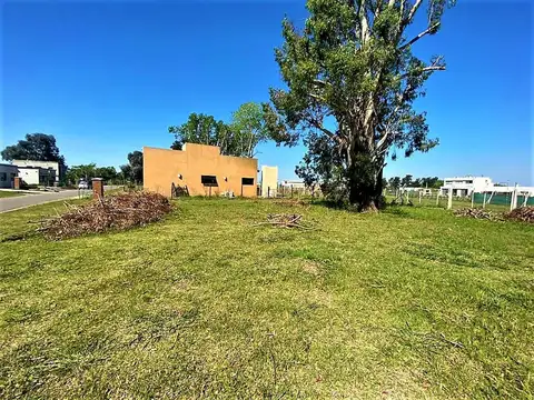 TERRENO EN VENTA RUTA 25 Y E.CASELLA 0 , PILAR