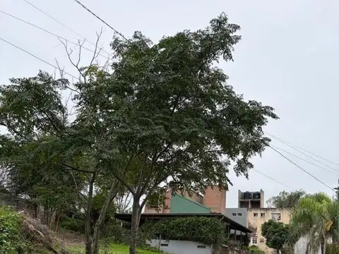 Cuesta Del Totoral 814 814