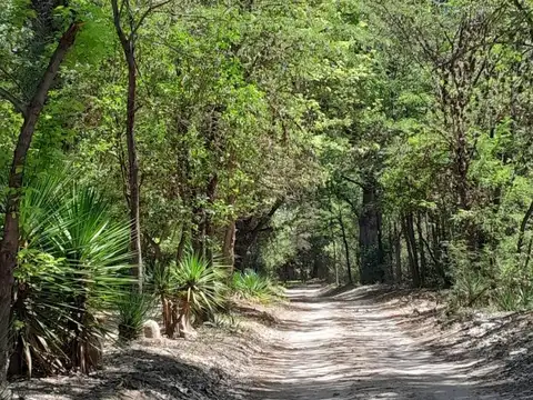 Terreno en Venta de 934,0 m2