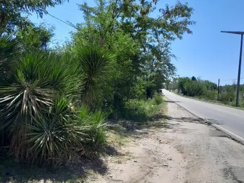 Ruta 14