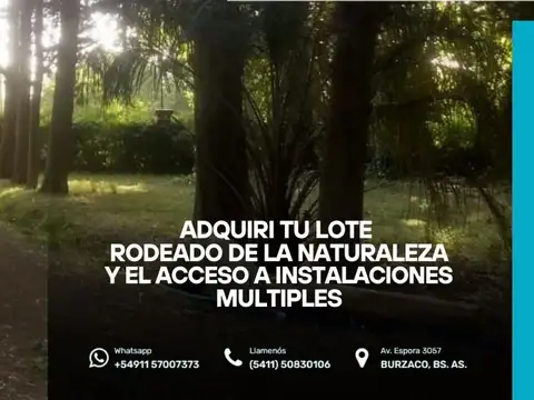 RUTA  210 54700