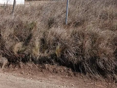 Terreno en Venta en Yacanto Calamuchita, USD 11.000