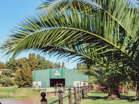 Terreno en Venta en Fighiera, USD 85.000