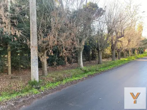 Terreno en Venta 50  mts Fondo