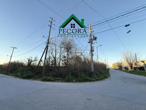 Terreno en Venta 209  mts Fondo