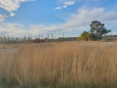 Terreno en Venta de 1000,0 m2