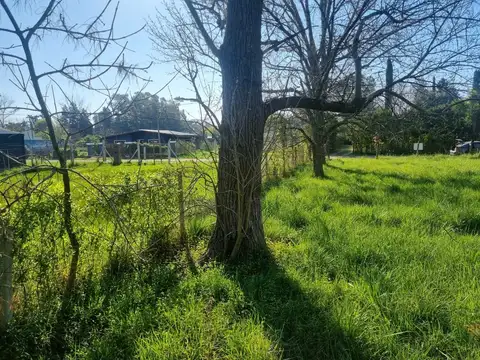Terreno en Venta de 1000,0 m2